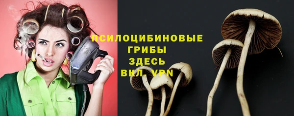 PSILOCYBIN Верхнеуральск