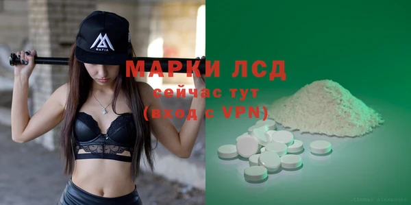 spice Верея