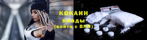 spice Верея