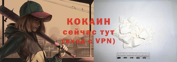 spice Верея