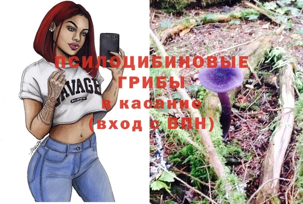 PSILOCYBIN Верхнеуральск