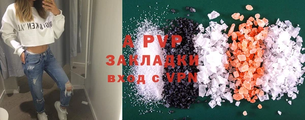 spice Верея