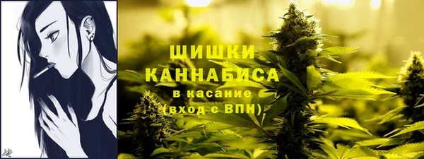 PSILOCYBIN Верхнеуральск