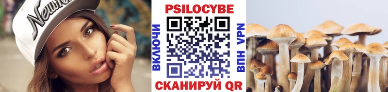 Псилоцибиновые грибы ЛСД  Славянск-на-Кубани 