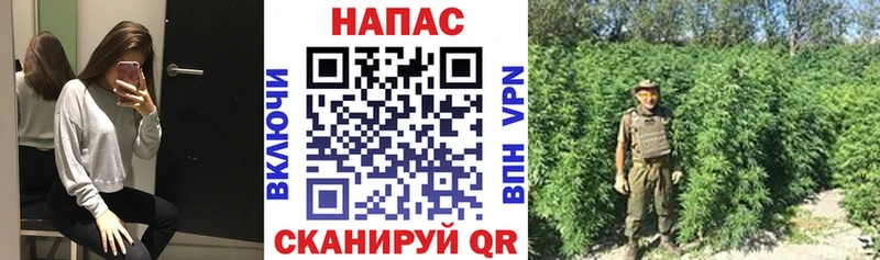 что такое Славянск-на-Кубани Каннабис конопля